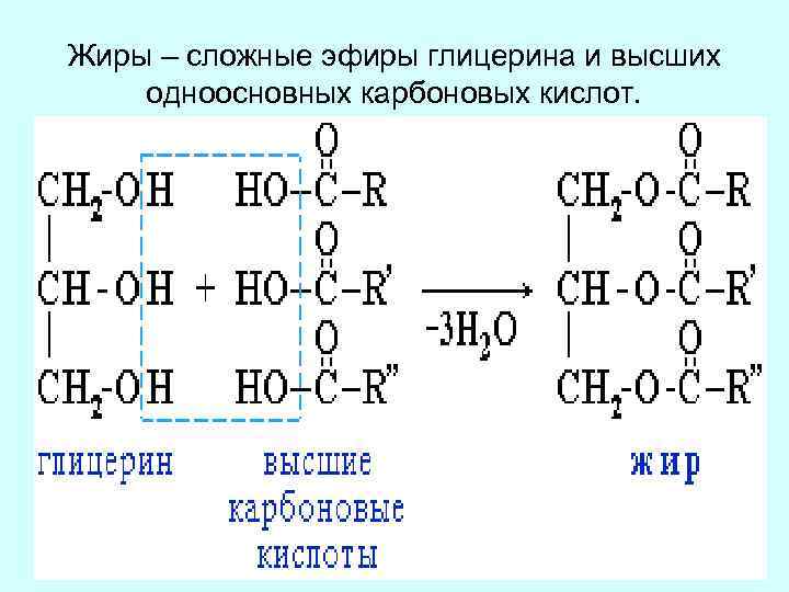 Сложные эфиры глицерина и высших карбоновых кислот. Жиры это сложные эфиры глицерина и высших. Глицерин какая кислота