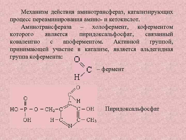 Ферменты катализирующие синтез