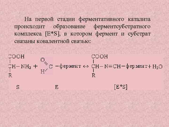 На первой стадии ферментативного катализа происходит образование ферментсубстратного комплекса [E*S], в котором фермент и