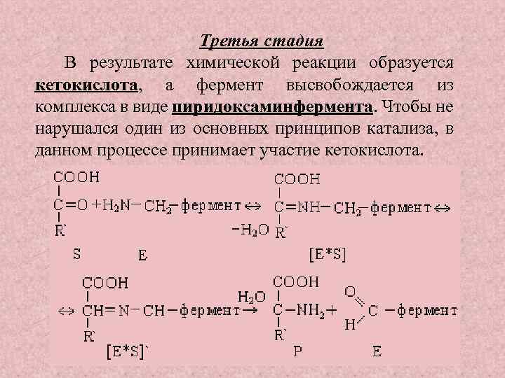 Третья стадия В результате химической реакции образуется кетокислота, а фермент высвобождается из комплекса в