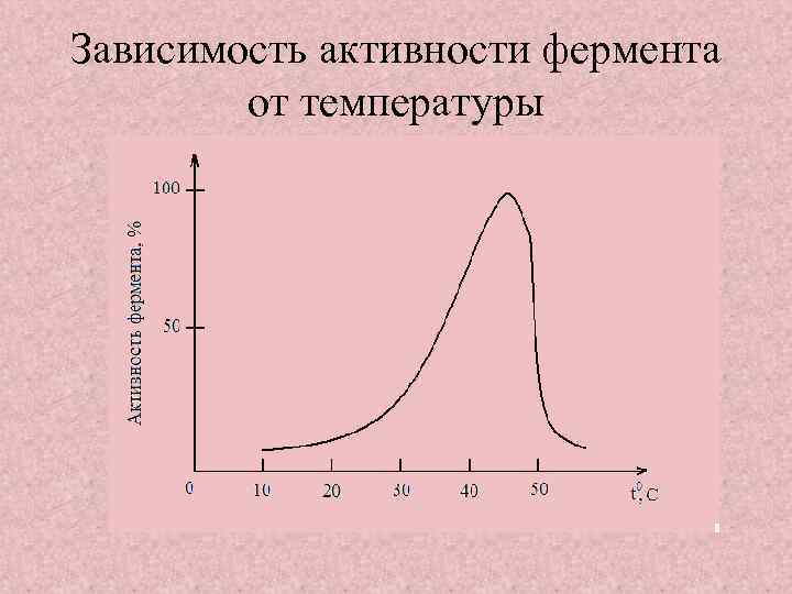 Зависимость активности фермента от температуры 