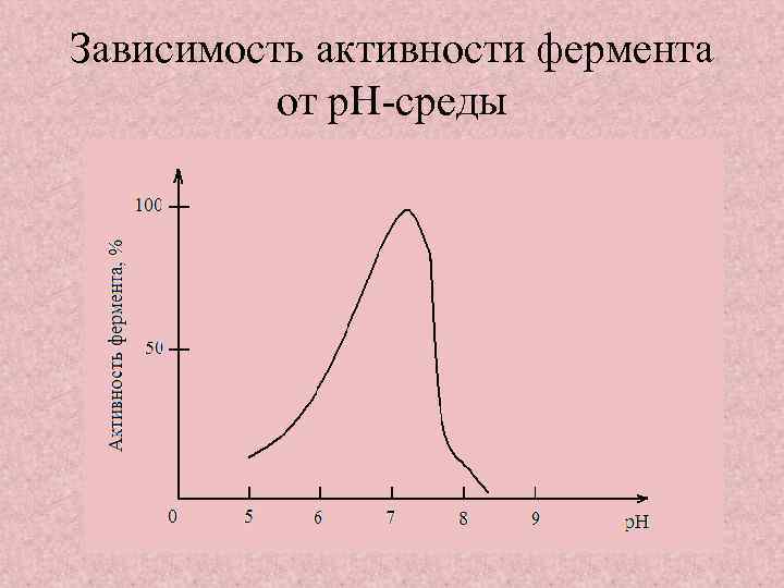 Активность зависит от. Зависимость активности ферментов PH. Зависимость активности ферментов от PH. Зависимость активности фермента от РН среды. Зависимость активности ферментов от PH среды.