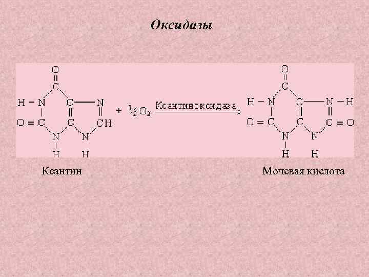 Оксидазы Ксантин Мочевая кислота 