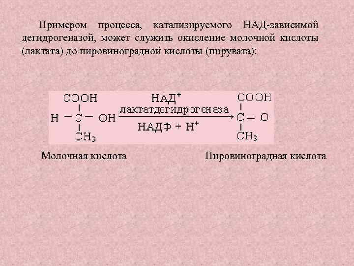 Примером процесса, катализируемого НАД зависимой дегидрогеназой, может служить окисление молочной кислоты (лактата) до пировиноградной