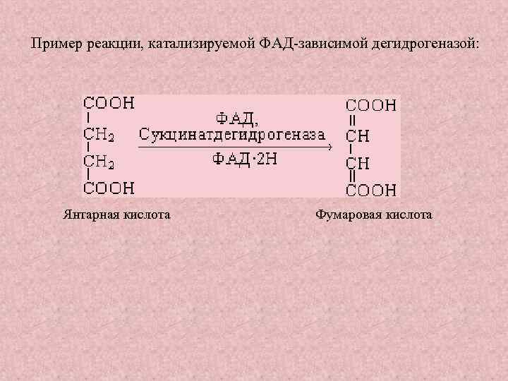 Пример реакции, катализируемой ФАД зависимой дегидрогеназой: Янтарная кислота Фумаровая кислота 