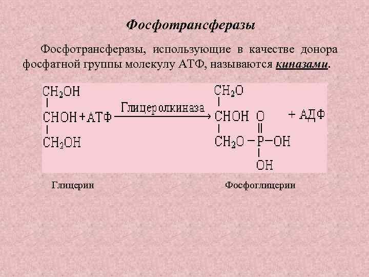 Фосфотрансферазы, использующие в качестве донора фосфатной группы молекулу АТФ, называются киназами. Глицерин Фосфоглицерин 