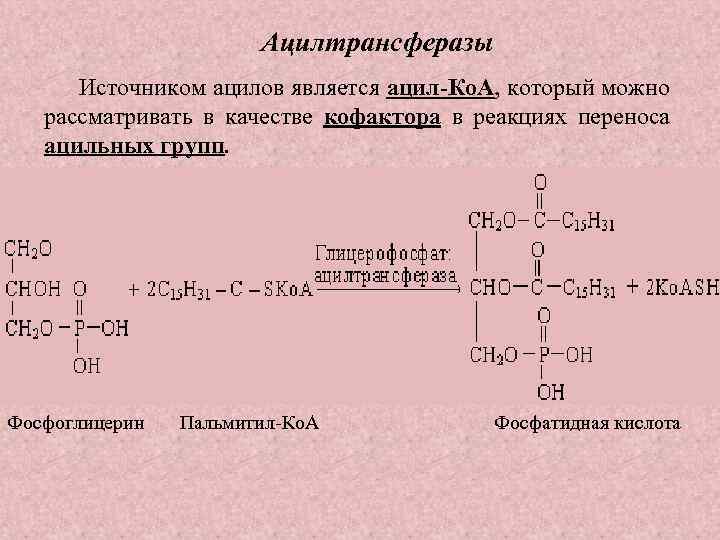 Ацилтрансферазы Источником ацилов является ацил-Ко. А, который можно рассматривать в качестве кофактора в реакциях