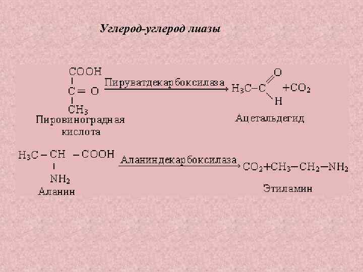 Углерод-углерод лиазы 