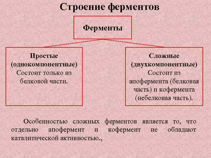 Строение фермента схема