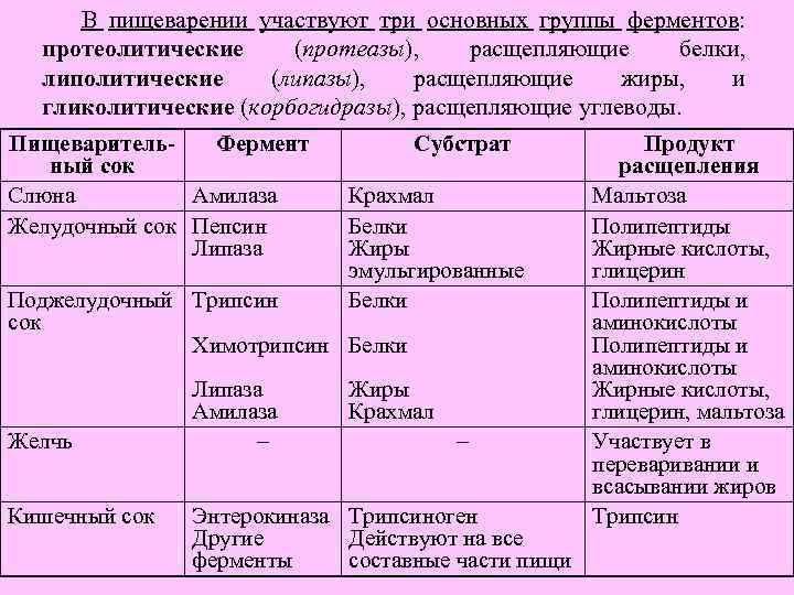 В пищеварении участвуют три основных группы ферментов: протеолитические (протеазы), расщепляющие белки, липолитические (липазы), расщепляющие