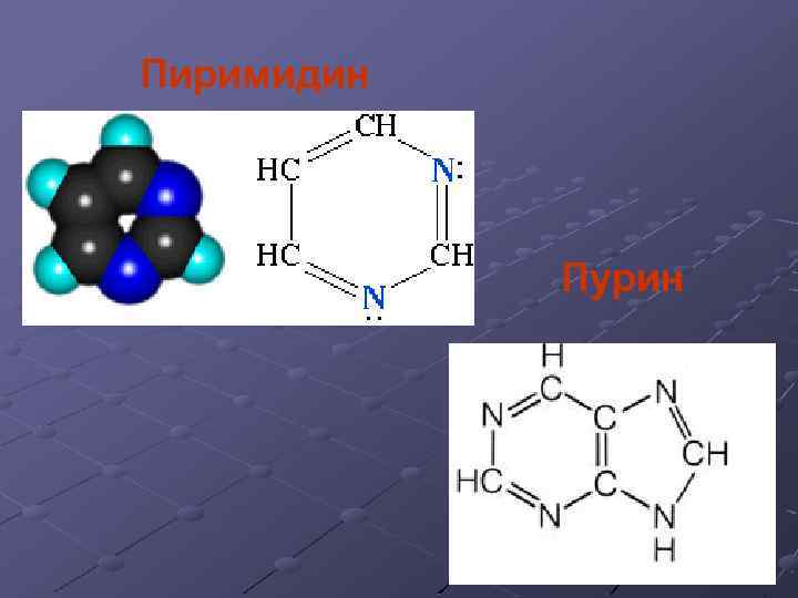 Пиримидин Пурин 