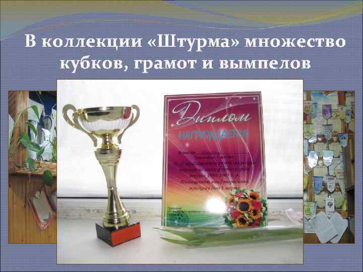 В коллекции «Штурма» множество кубков, грамот и вымпелов 
