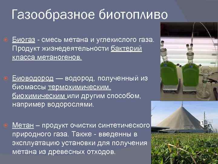 Газообразное биотопливо Биогаз - смесь метана и углекислого газа. Продукт жизнедеятельности бактерий класса метаногенов.