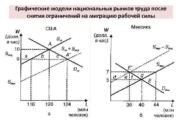 Графическая модель это. Классическая модель рынка труда график. Миграция на рынке труда график. Графическая модель рынка труда. Графическое изображение рынка труда.