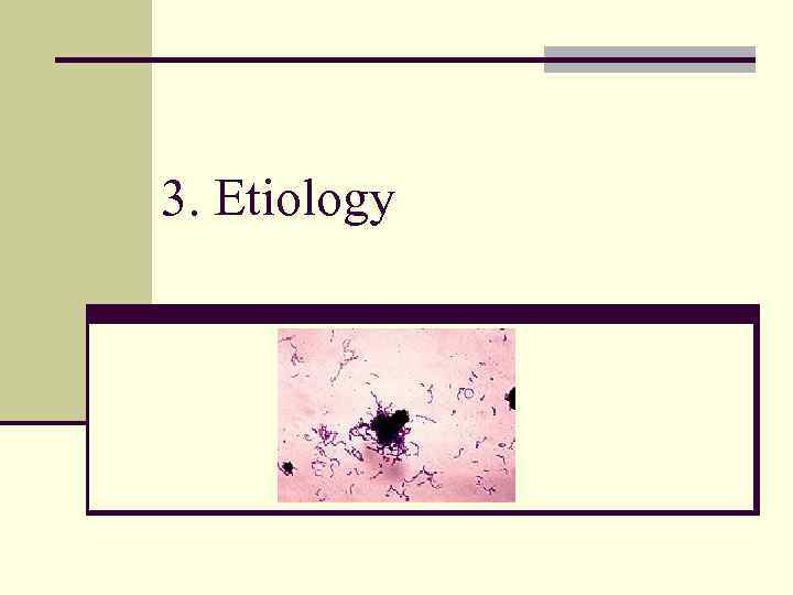 3. Etiology 