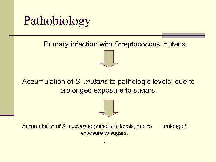 Pathobiology Primary infection with Streptococcus mutans. Accumulation of S. mutans to pathologic levels, due