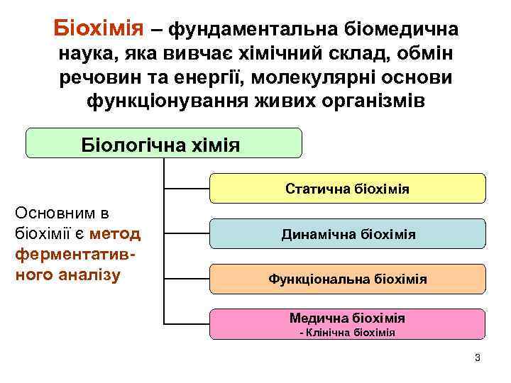 Sho Take Biohimiya Radi Nadati Vidpovid Ogyust Roden