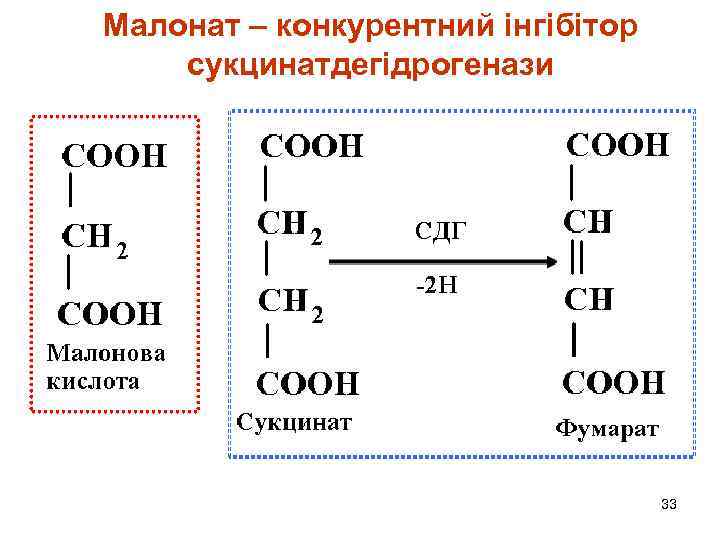 Малонат – конкурентний інгібітор сукцинатдегідрогенази 33 