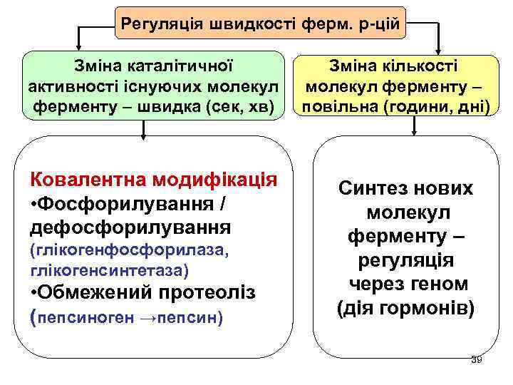 Регуляція швидкості ферм. р-цій Зміна каталітичної активності існуючих молекул ферменту – швидка (сек, хв)