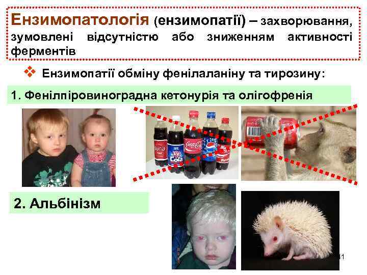 Ензимопатологія (ензимопатії) – захворювання, зумовлені відсутністю ферментів або зниженням активності v Ензимопатії обміну фенілаланіну