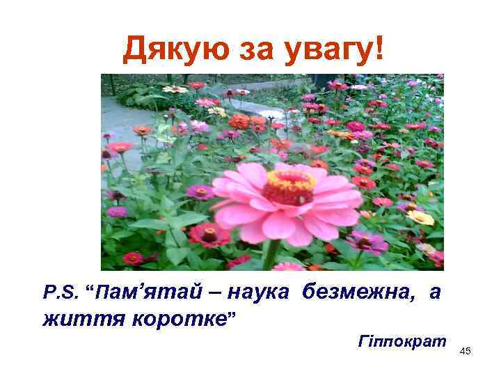 Дякую за увагу! P. S. “Пам’ятай – наука безмежна, а життя коротке” Гіппократ 45