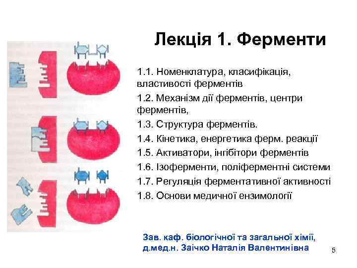 Лекція 1. Ферменти 1. 1. Номенклатура, класифікація, властивості ферментів 1. 2. Механізм дії ферментів,