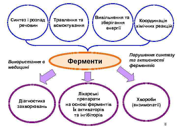 Синтез і розпад речовин Використання в медицині Діагностика захворювань Травлення та всмоктування Вивільнення та