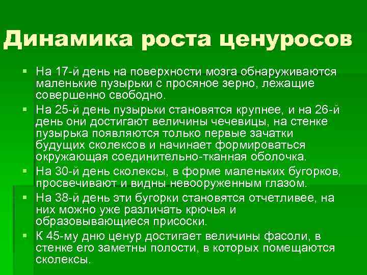 Динамика роста ценуросов § На 17 -й день на поверхности мозга обнаруживаются маленькие пузырьки