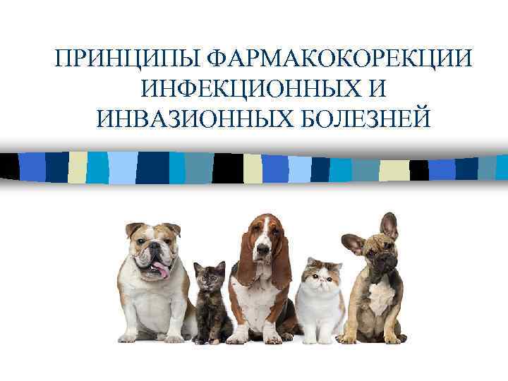 ПРИНЦИПЫ ФАРМАКОКОРЕКЦИИ ИНФЕКЦИОННЫХ И ИНВАЗИОННЫХ БОЛЕЗНЕЙ 