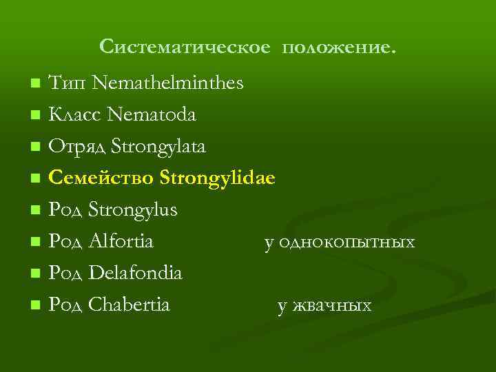 Систематическое положение. Тип Nemathelminthes n Класс Nematoda n Отряд Strongylata n Семейство Strongylidae n