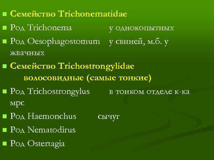 Семейство Trichonematidae n Род Trichonema у однокопытных n Род Oesophagostomum у свиней, м. б.