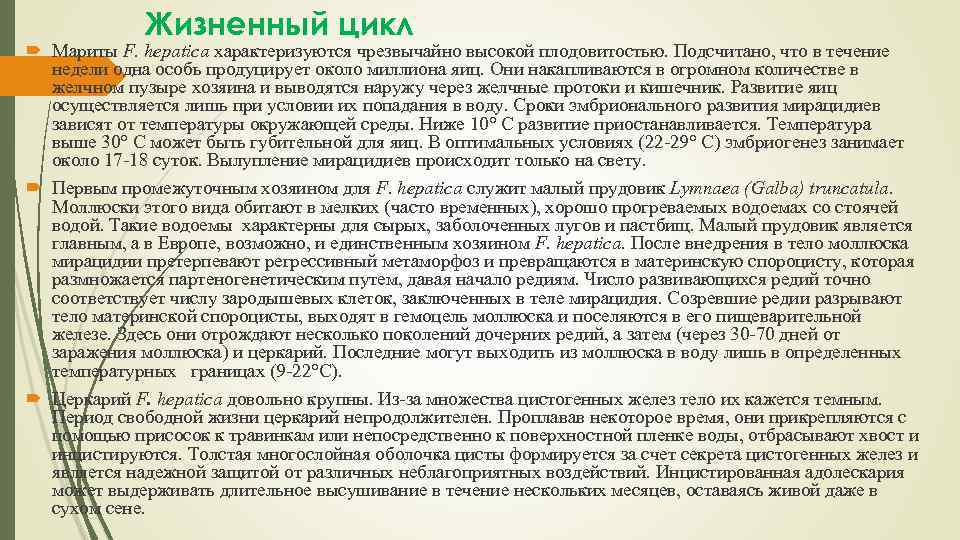 Жизненный цикл Мариты F. hepatica характеризуются чрезвычайно высокой плодовитостью. Подсчитано, что в течение недели