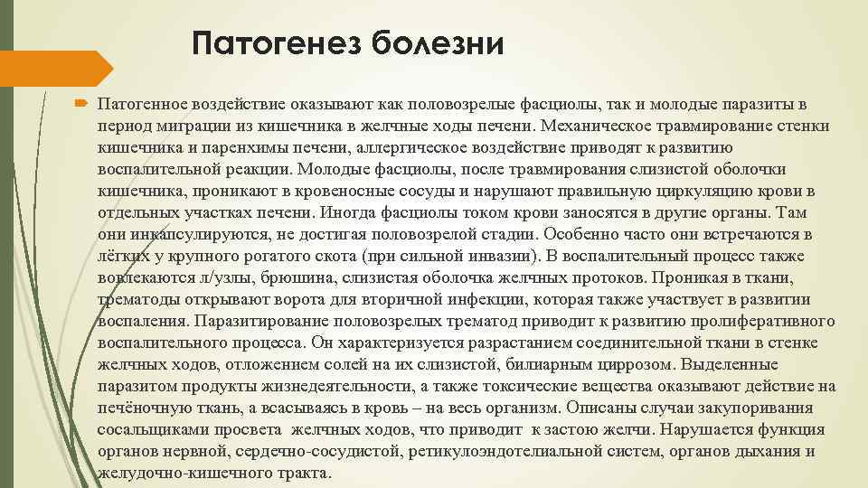 Патогенез болезни Патогенное воздействие оказывают как половозрелые фасциолы, так и молодые паразиты в период