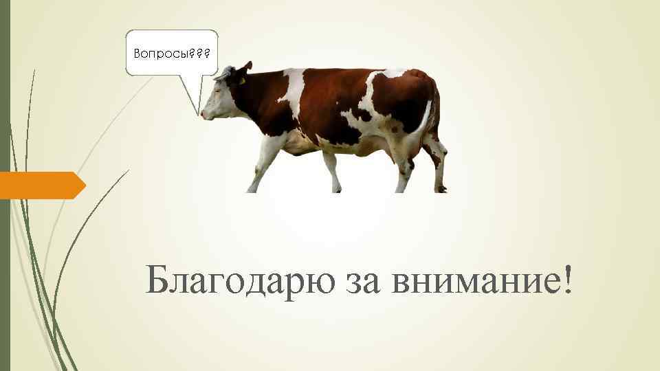 Вопросы? ? ? Благодарю за внимание! 