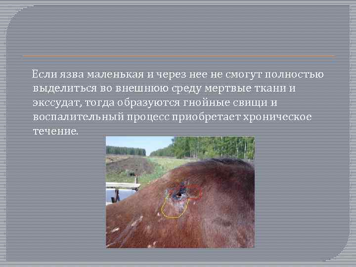  Если язва маленькая и через нее не смогут полностью выделиться во внешнюю среду