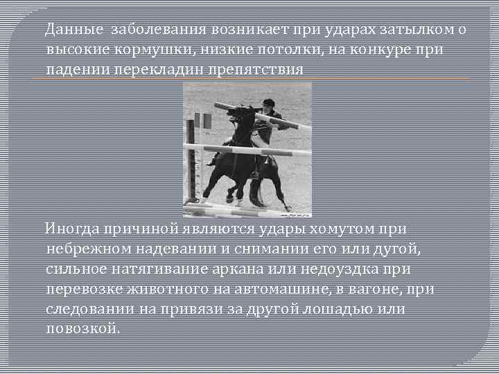  Данные заболевания возникает при ударах затылком о высокие кормушки, низкие потолки, на конкуре