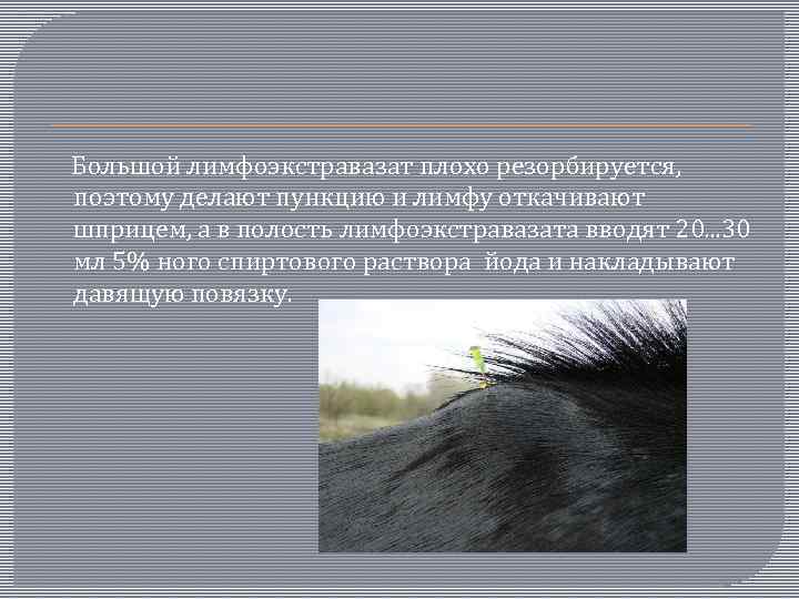  Большой лимфоэкстравазат плохо резорбируется, поэтому делают пункцию и лимфу откачивают шприцем, а в