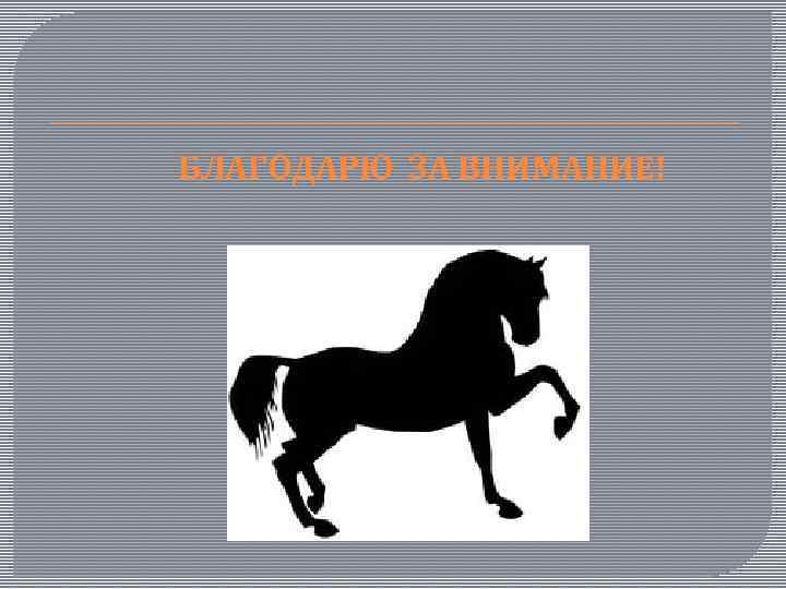  БЛАГОДАРЮ ЗА ВНИМАНИЕ! 