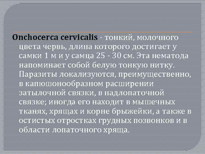 Onchocerca cervicalis - тонкий, молочного цвета червь, длина которого достигает у самки 1 м