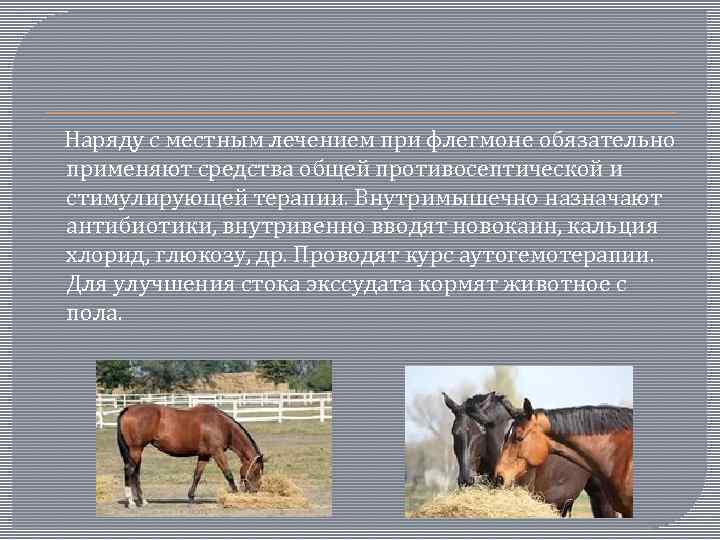  Наряду с местным лечением при флегмоне обязательно применяют средства общей противосептической и стимулирующей