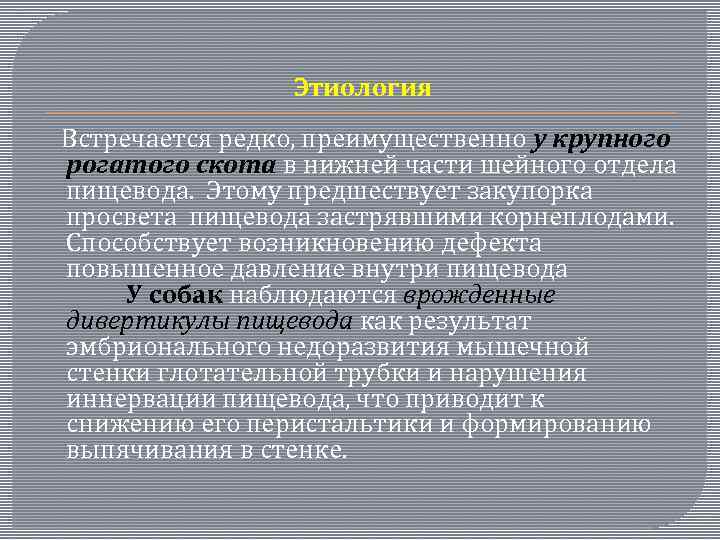  Этиология Встречается редко, преимущественно у крупного рогатого скота в нижней части шейного отдела