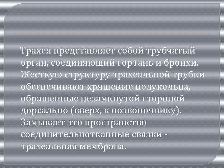  Трахея представляет собой трубчатый орган, соединяющий гортань и бронхи. Жесткую структуру трахеальной трубки