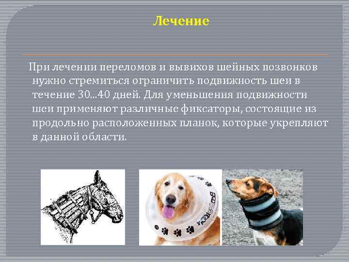  Лечение При лечении переломов и вывихов шейных позвонков нужно стремиться ограничить подвижность шеи