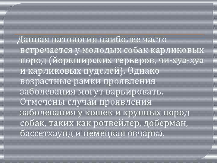  Данная патология наиболее часто встречается у молодых собак карликовых пород (йоркширских терьеров, чи-хуа