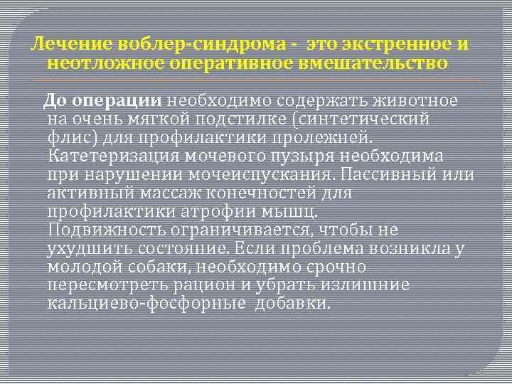 Лечение воблер-синдрома - это экстренное и неотложное оперативное вмешательство До операции необходимо содержать животное