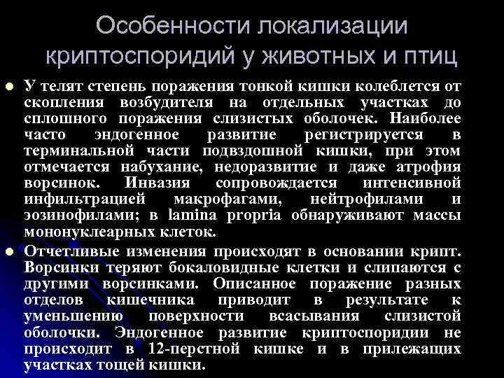 Особенности локализации криптоспоридий у животных и птиц l l У телят степень поражения тонкой