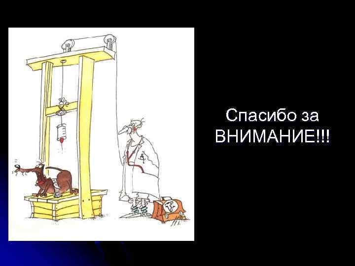 Спасибо за ВНИМАНИЕ!!! 