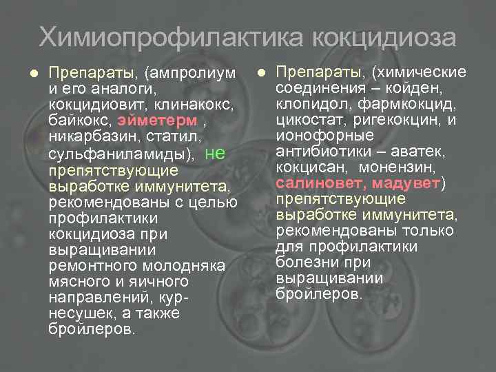 Химиопрофилактика кокцидиоза l Препараты, (ампролиум и его аналоги, кокцидиовит, клинакокс, байкокс, эйметерм , никарбазин,