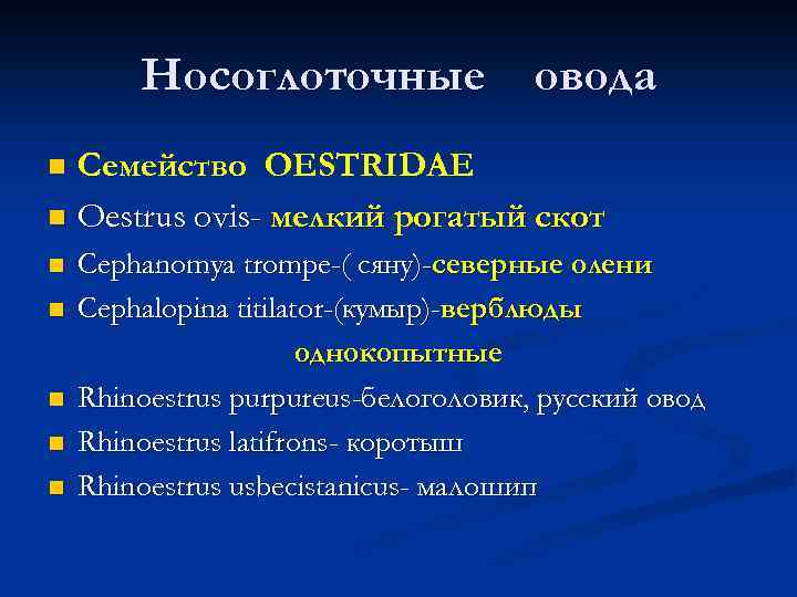 Носоглоточные овода Семейство OESTRIDAE n Oestrus ovis- мелкий рогатый скот n n n Cephanomya