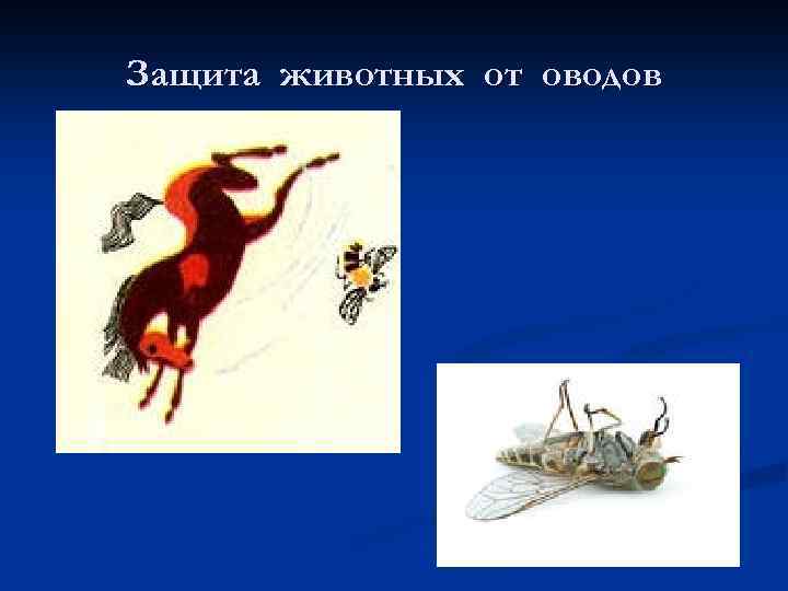 Защита животных от оводов 